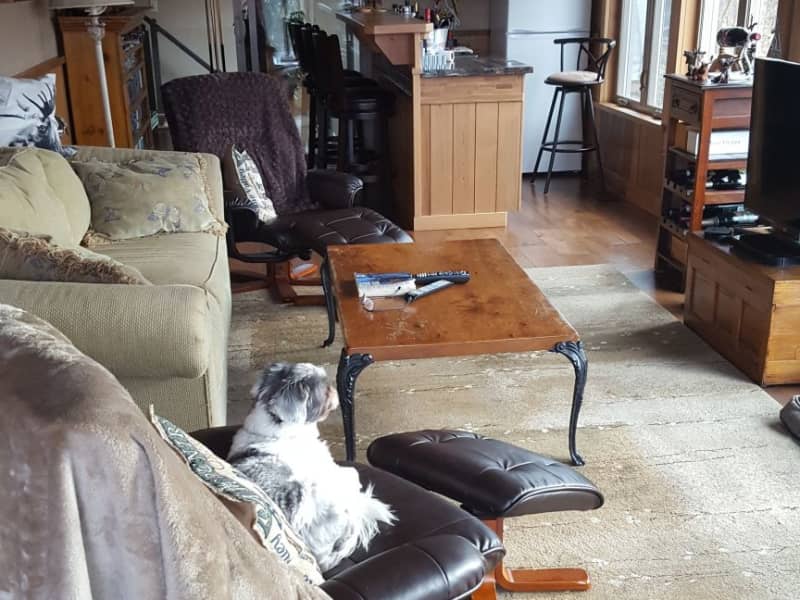 Housesitting assignment in Port Severn, Ontario, Canada