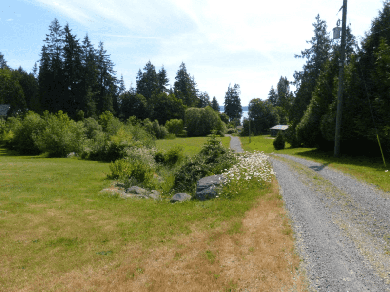 Housesitting assignment in Nanaimo, British Columbia, Canada