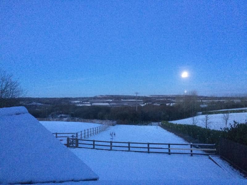 Housesitting assignment in Plaxtol, United Kingdom
