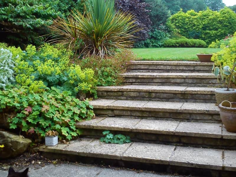 Housesitting assignment in Bath, United Kingdom