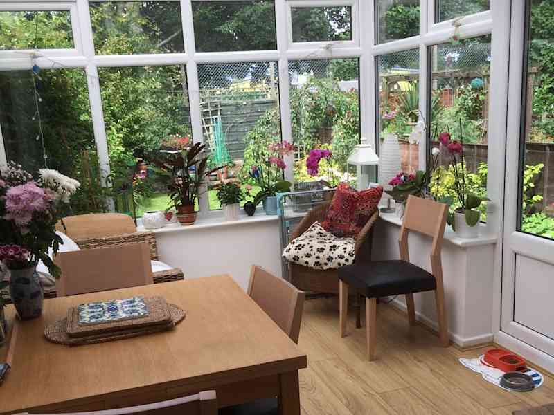Housesitting assignment in Manchester, United Kingdom