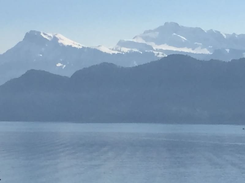 Housesitting assignment in Meggen, Switzerland