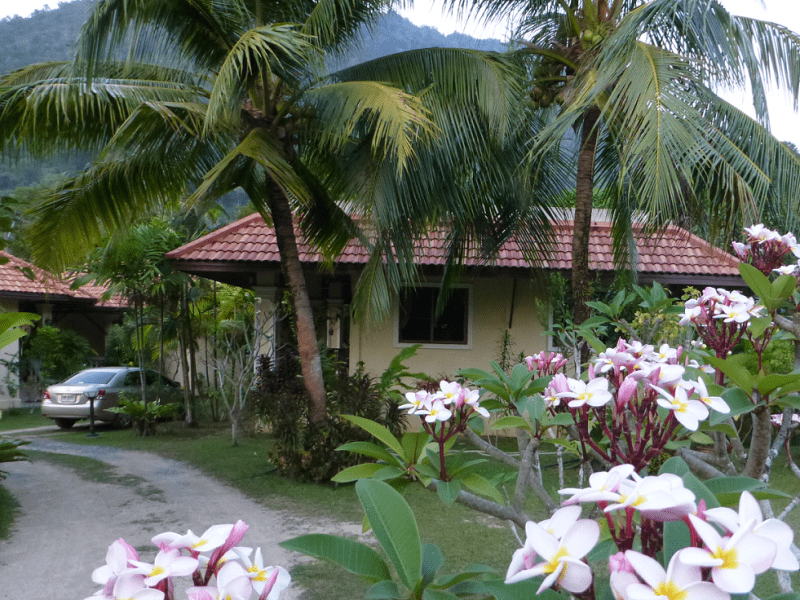 Housesitting assignment in Patong, Thailand