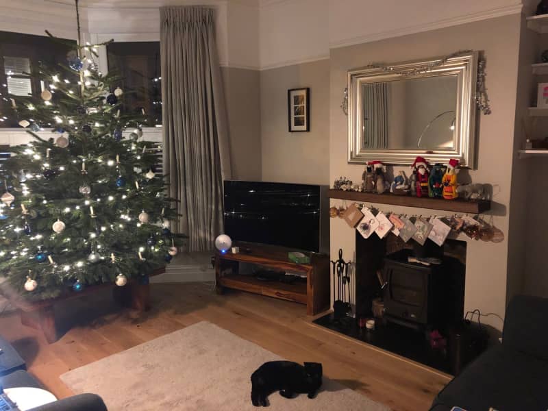 Housesitting assignment in Bristol, United Kingdom