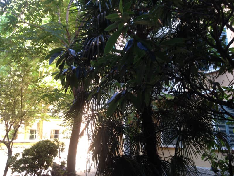 Housesitting assignment in Bologna, Italy