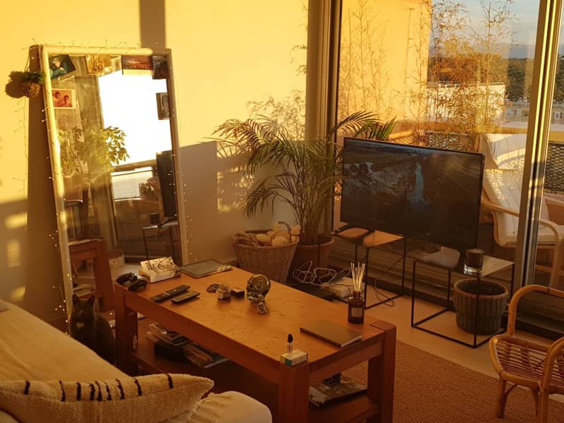 Housesitting assignment in Biarritz, France
