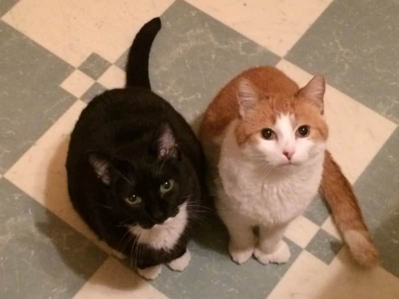 Sara & Tim from Bowling Green, Ohio, United States