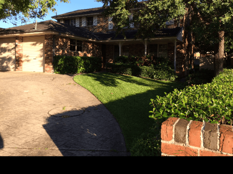 Housesitting assignment in Marsfield, New South Wales, Australia