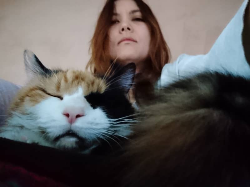 Housesitting assignment in Peckham, United Kingdom