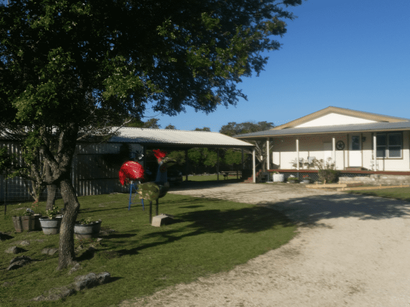 Housesitting assignment in New Braunfels, Texas, United States