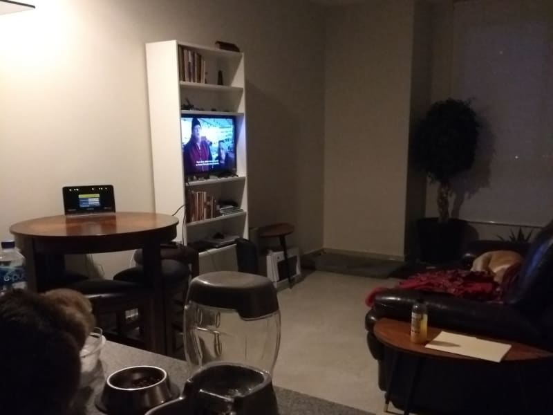 Housesitting assignment in Polanco, Mexico