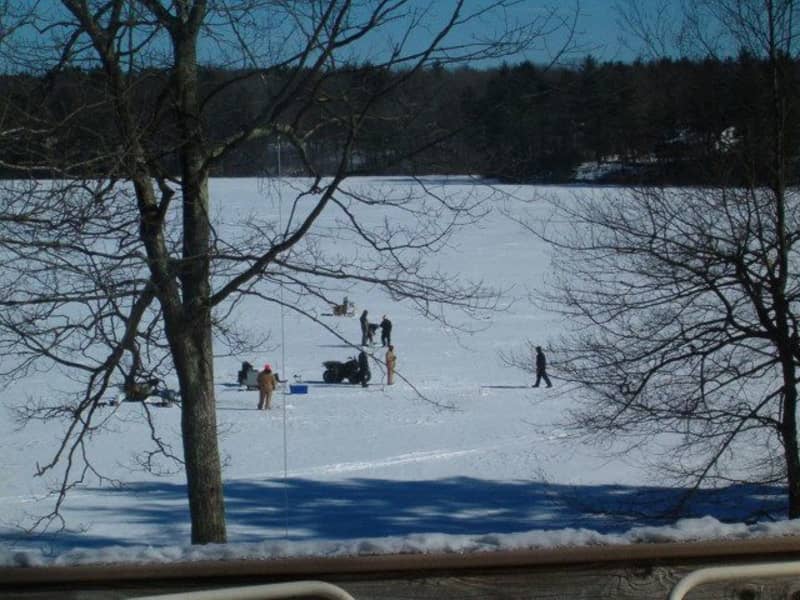 Housesitting assignment in Charlton, Massachusetts, United States