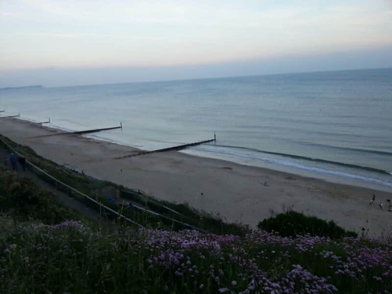 Housesitting assignment in Bournemouth, United Kingdom