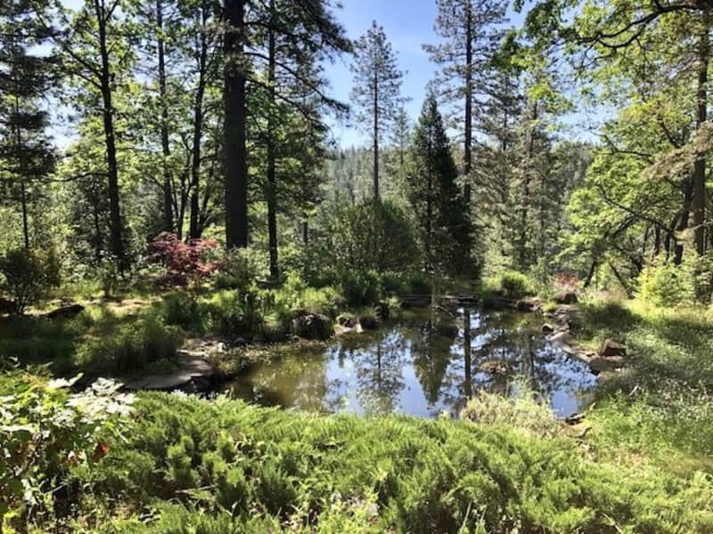 Housesitting assignment in Chico, California, United States
