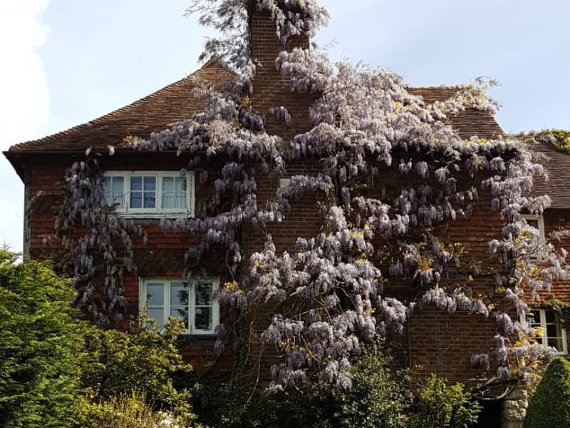 Housesitting assignment in Sutton Valence, United Kingdom