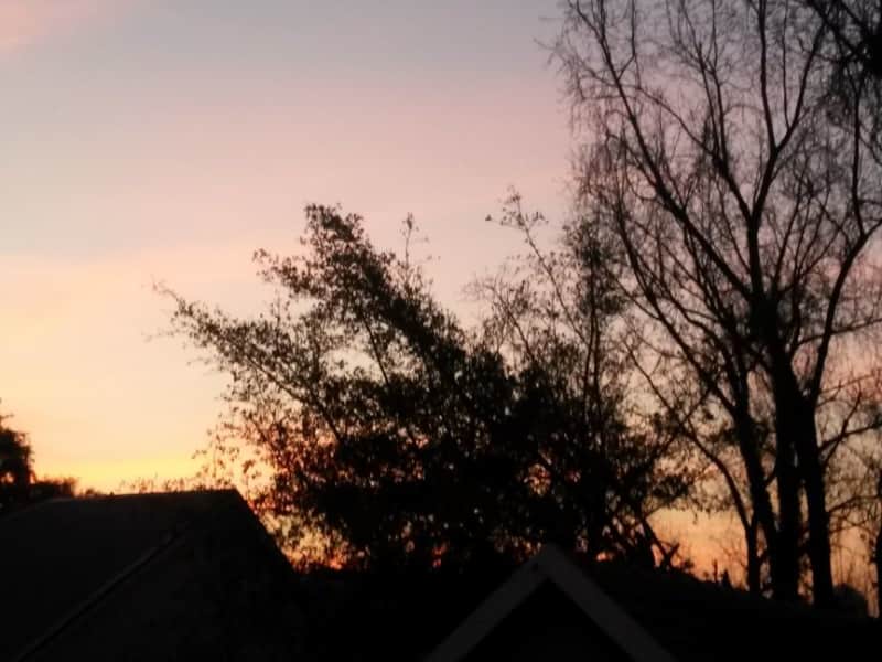 Housesitting assignment in Sandton, South Africa