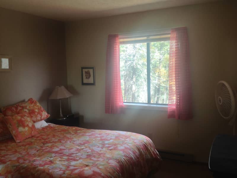 Housesitting assignment in Angel Fire, New Mexico, United States