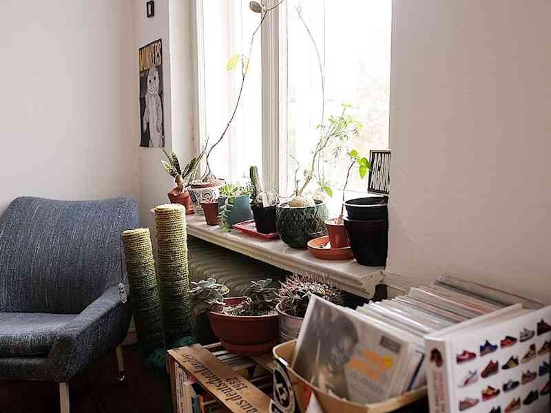 Housesitting assignment in Berlin, Germany