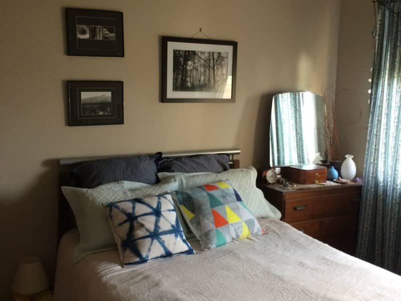 Housesitting assignment in South Tamworth, New South Wales, Australia