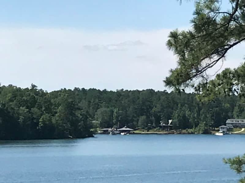 Housesitting assignment in Milledgeville, Georgia, United States