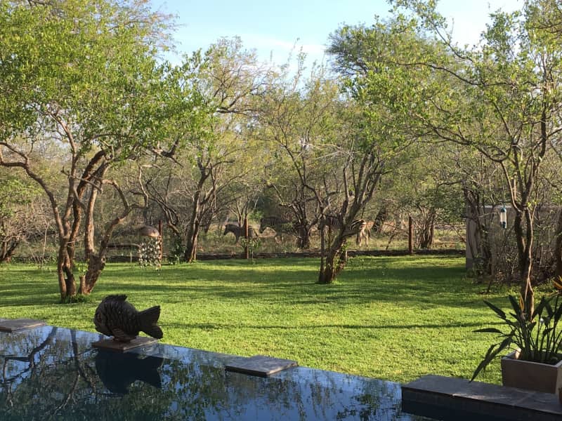 Housesitting assignment in Hoedspruit, South Africa