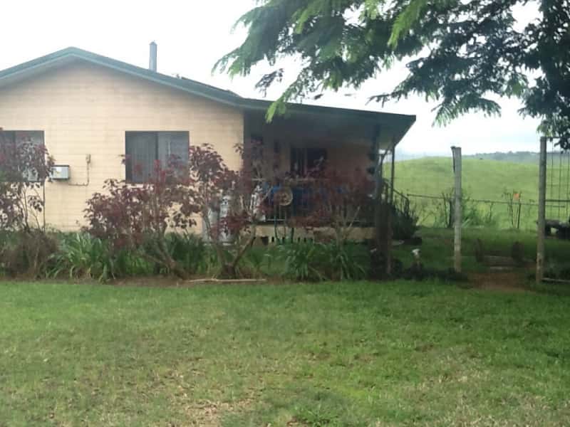 Housesitting assignment in Tarzali, Queensland, Australia