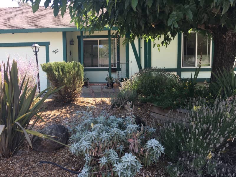 Housesitting assignment in Petaluma, California, United States