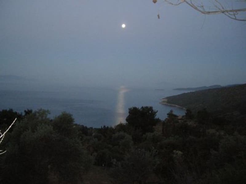 Housesitting assignment in Bodrum, Turkey