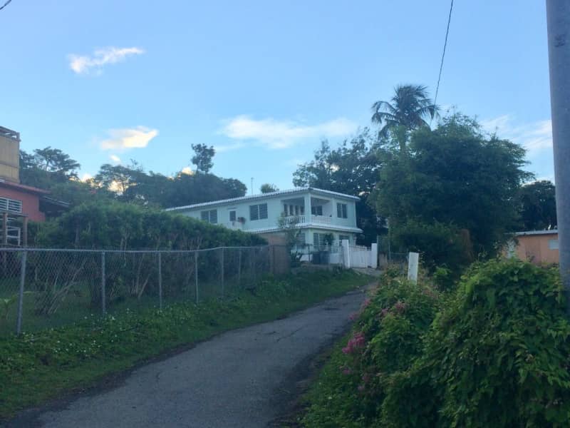 Housesitting assignment in Vieques, Puerto Rico