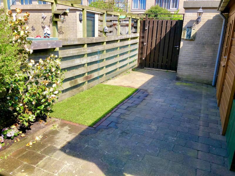 Housesitting assignment in Zaandam, Netherlands