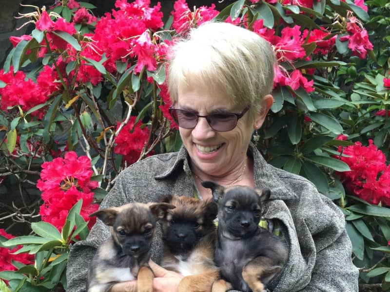 Kathie & (bennie) diane from Bellingham, Washington, United States
