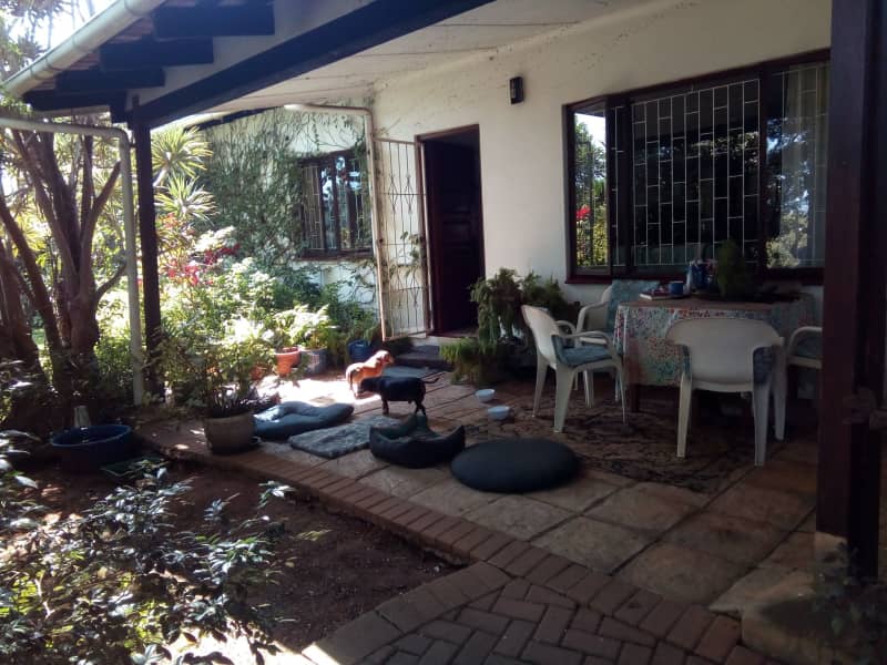 Housesitting assignment in Durban, South Africa