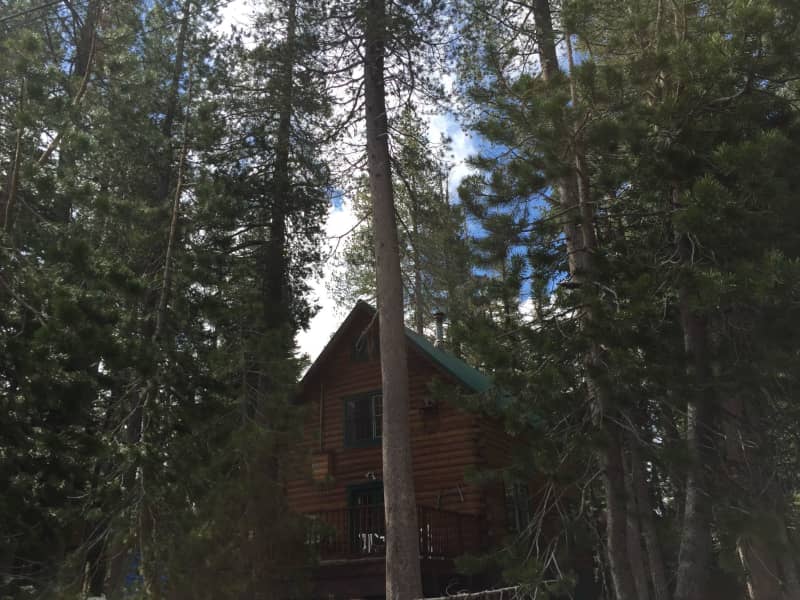 Housesitting assignment in Soda Springs, California, United States