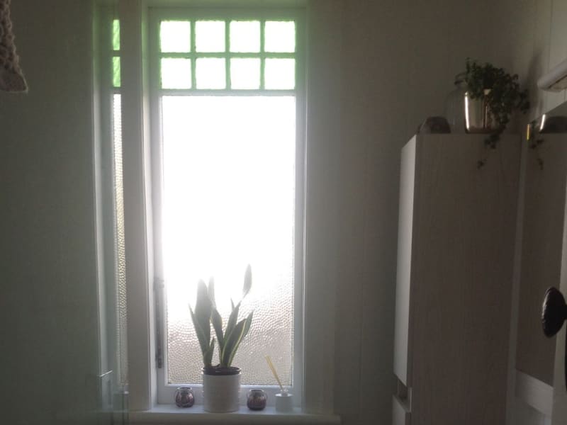 Housesitting assignment in North Shore, New Zealand