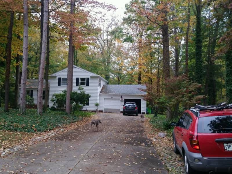 Housesitting assignment in Alliance, Ohio, United States