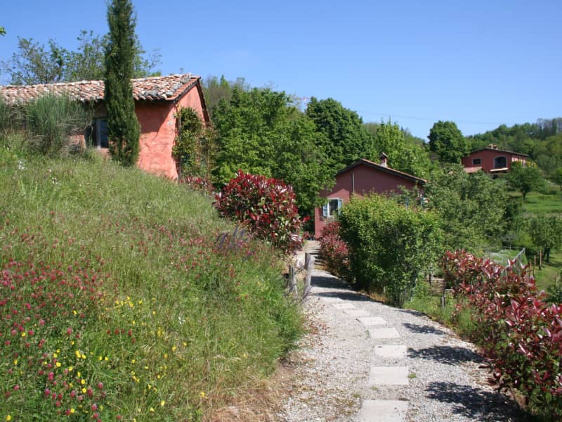 Housesitting assignment in Molazzana, Italy