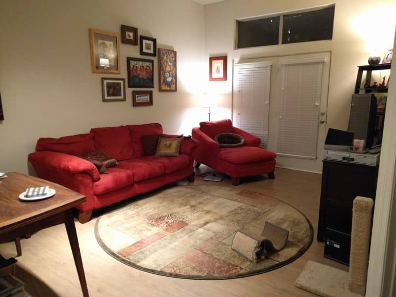 Housesitting assignment in Washington, D.C., Washington, D.C., United States