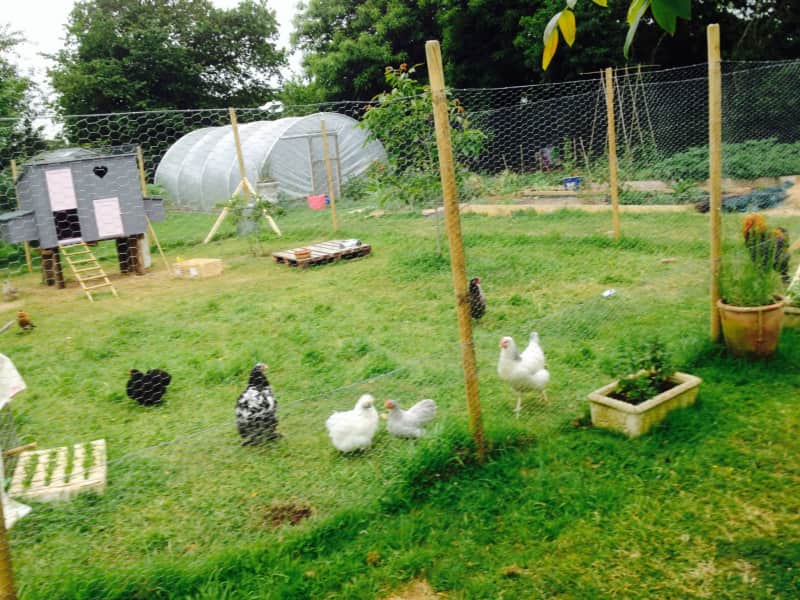 Housesitting assignment in Plévin, France