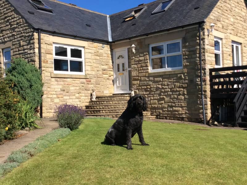 Housesitting assignment in Bellingham, United Kingdom