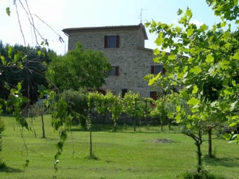 Housesitting assignment in Rassina, Italy