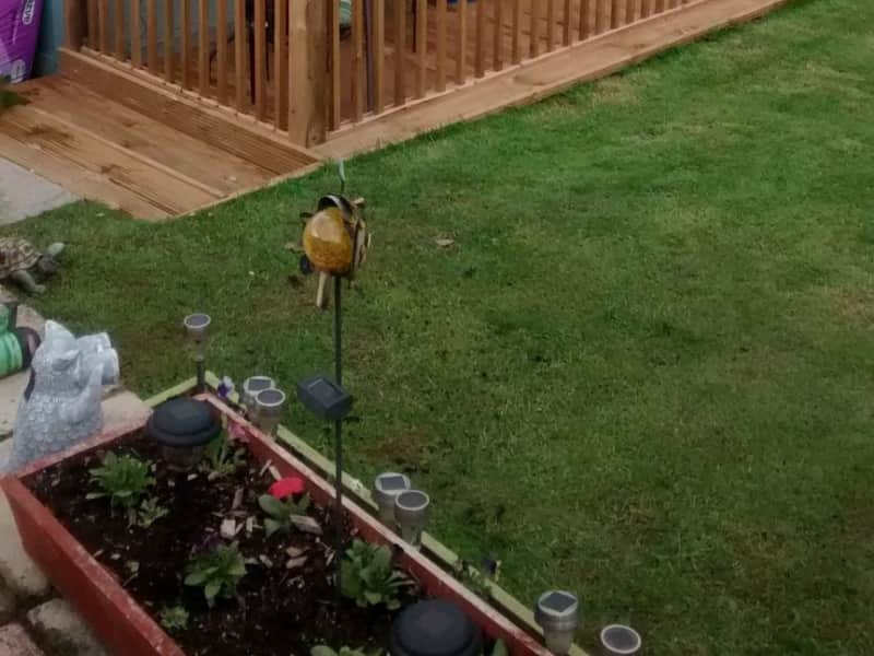 Housesitting assignment in Cardiff, United Kingdom