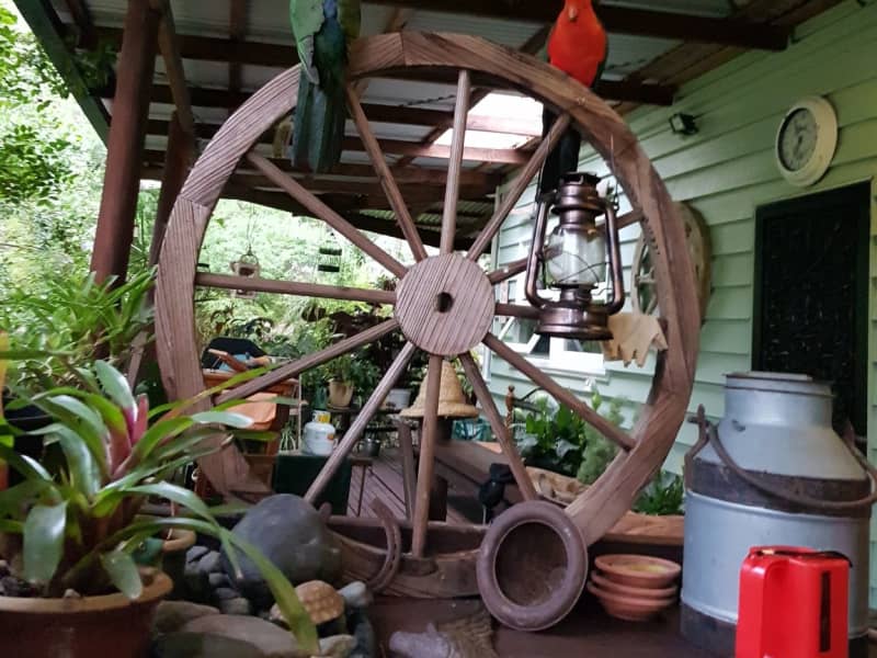 Housesitting assignment in Grafton, New South Wales, Australia