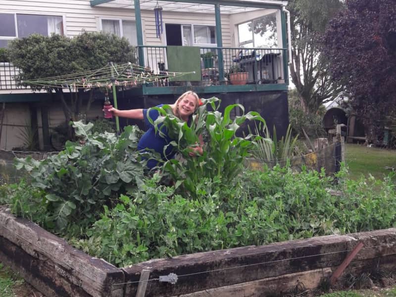 Housesitting assignment in Balclutha, New Zealand