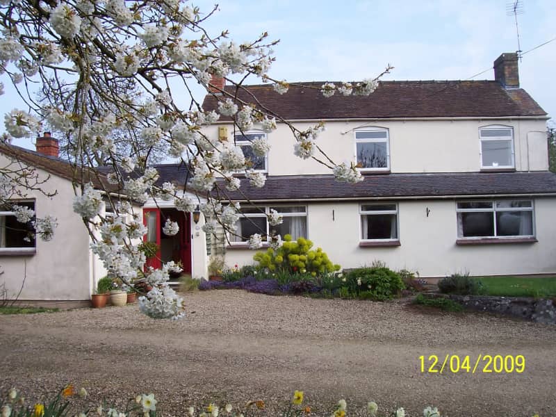 Housesitting assignment in Westbury on Severn, United Kingdom