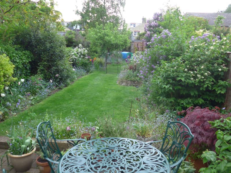 Housesitting assignment in Cambridge, United Kingdom