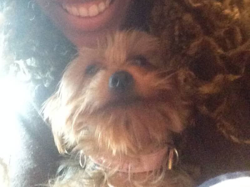 Odette from Sunningdale, United Kingdom