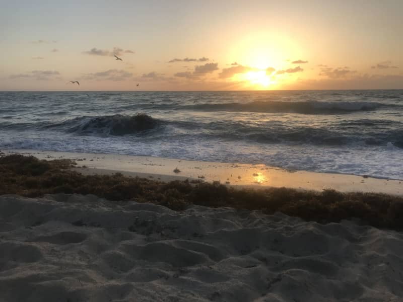 Housesitting assignment in Miami Beach, Florida, United States