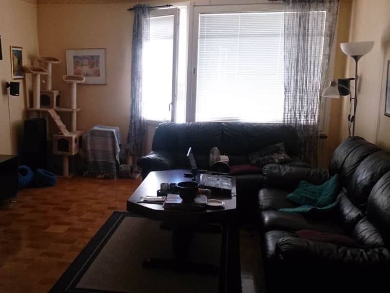 Housesitting assignment in Kalmar, Sweden