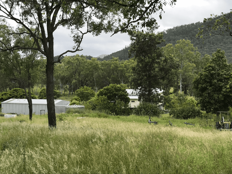 Housesitting assignment in Mount Perry, Queensland, Australia