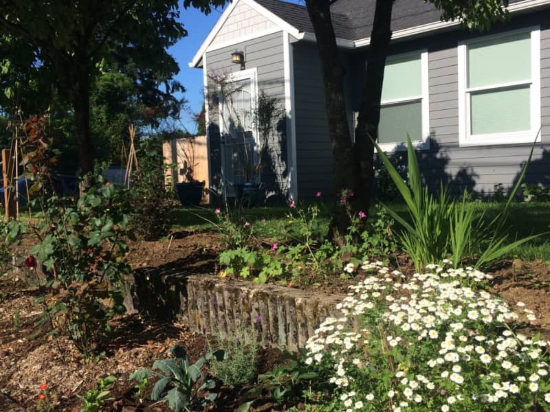 Housesitting assignment in Portland, Oregon, United States